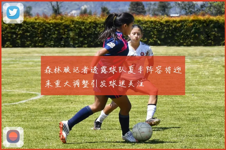森林狼记者透露球队夏季阵容将迎来重大调整引发球迷关注
