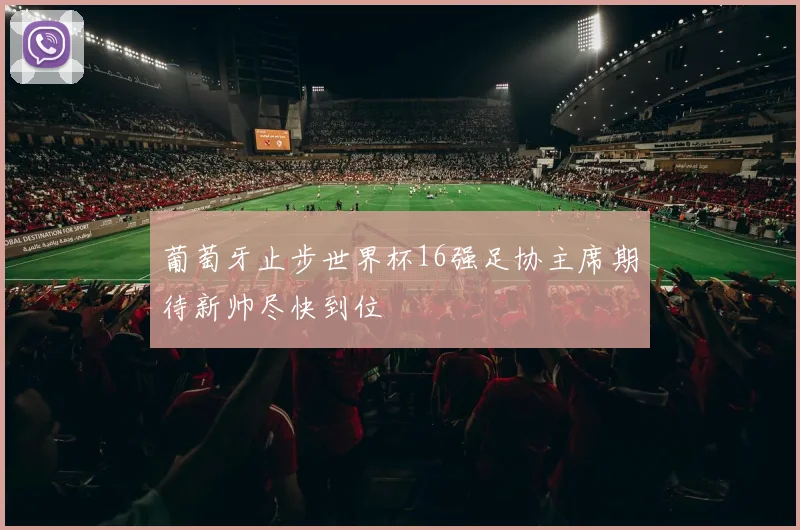 葡萄牙止步世界杯16强足协主席期待新帅尽快到位